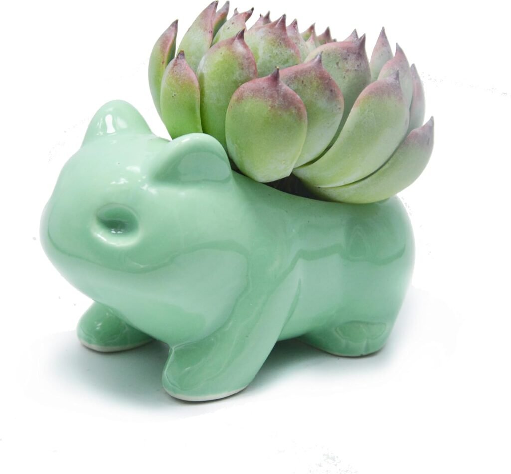A soft green ceramic Bulbasaur planter that doubles as decor. Nostalgic, playful, and surprisingly clean-looking — ideal for shelves that need a bit of levity.